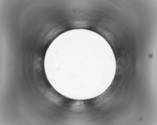 X0000093570162200710291048