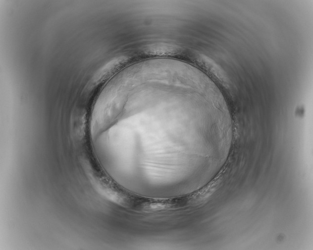 X0000093570163200710291048