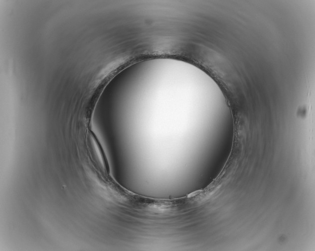 X0000093570164200710291048