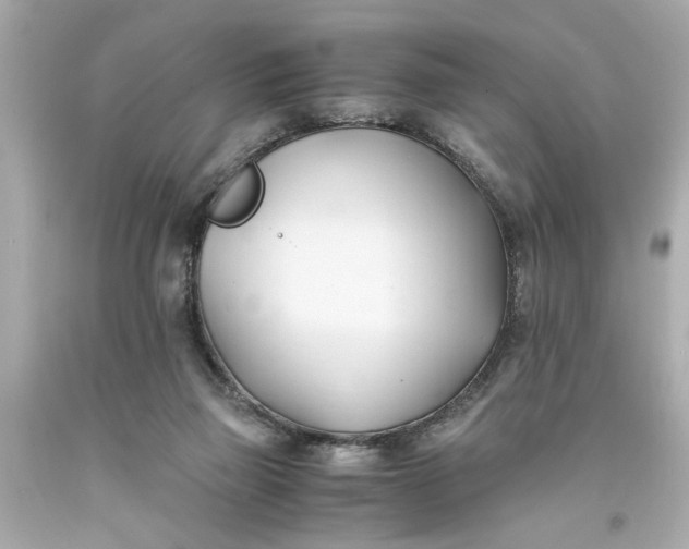 X0000093570165200710291048