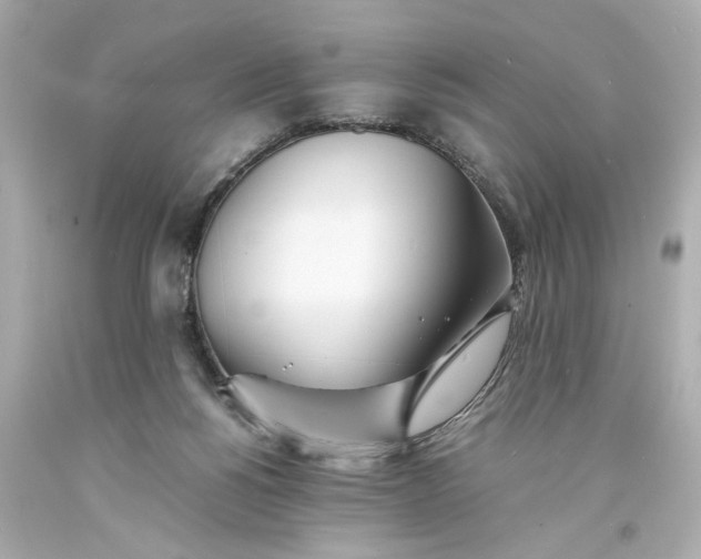 X0000093570168200710291048