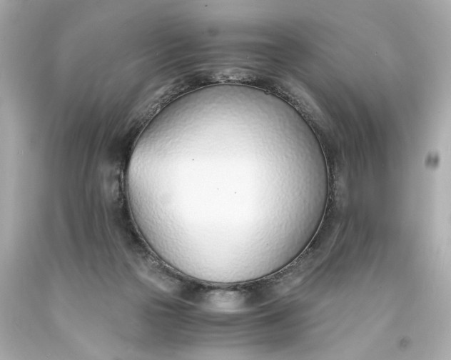 X0000093570169200710291048