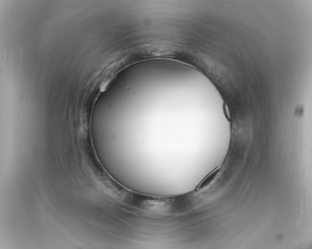 X0000093570170200710291048