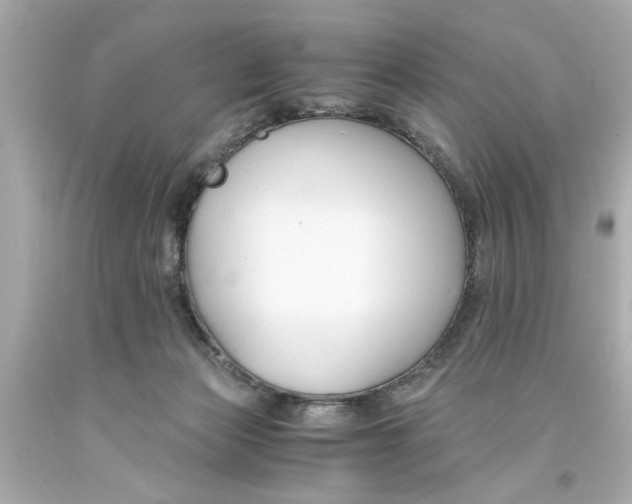 X0000093570173200710291048
