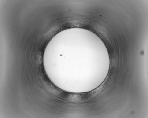 X0000093570174200710291048