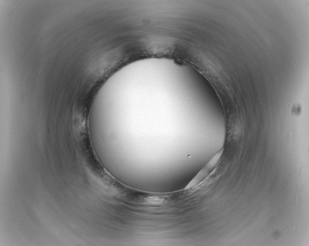 X0000093570176200710291048