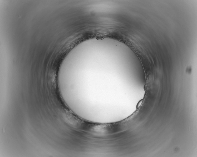 X0000093570178200710291048