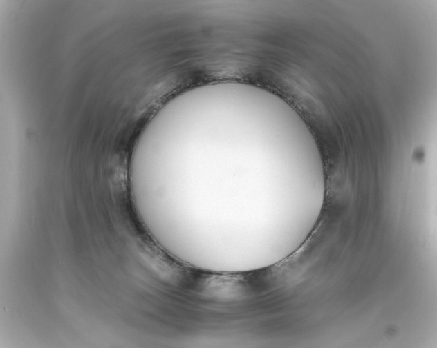 X0000093570179200710291048