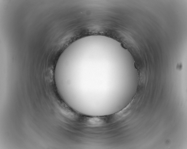 X0000093570183200710291048