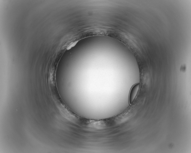 X0000093570185200710291048