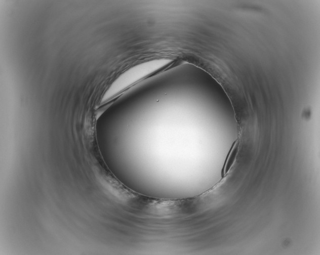 X0000093570186200710291048