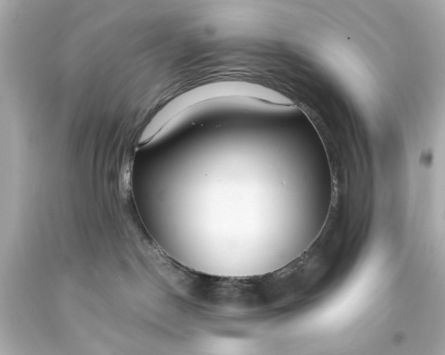 X0000093570190200710291048