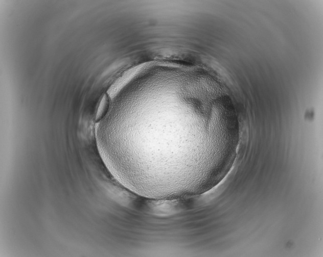 X0000093570191200710291048