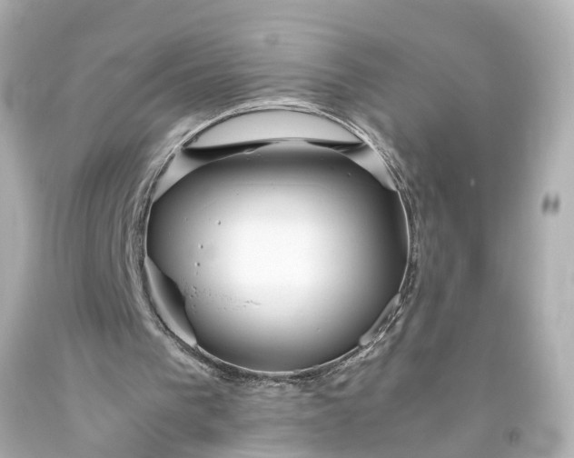 X0000093570193200710291047