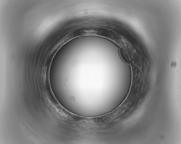 X0000093570194200710291047