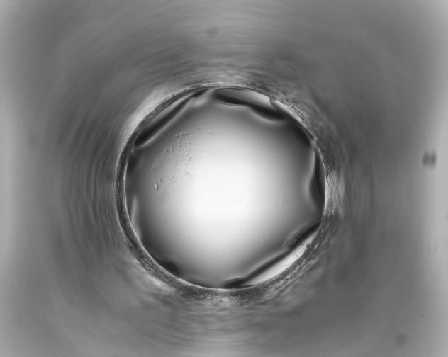 X0000093570195200710291047