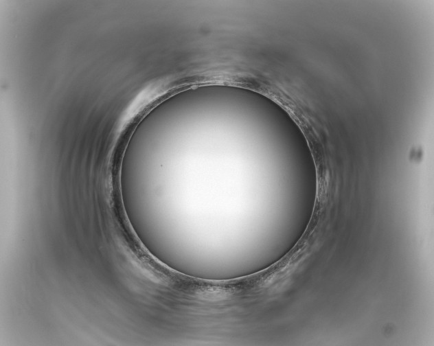 X0000093570198200710291047