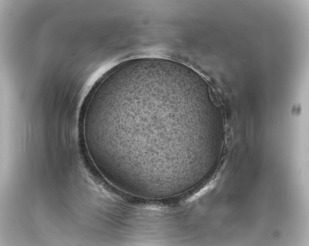 X0000093570200200710291047
