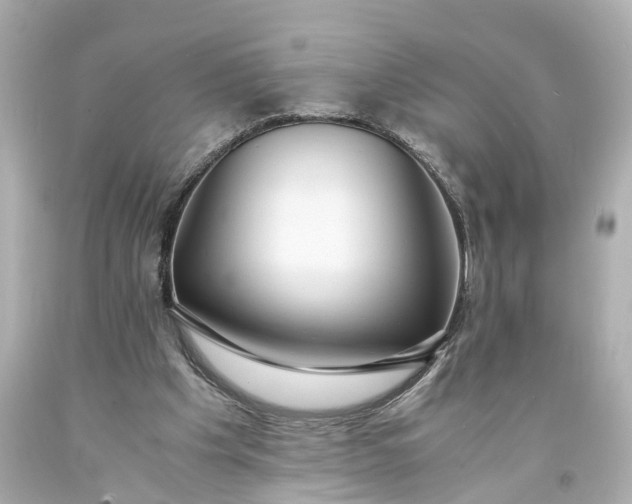 X0000093570201200710291047