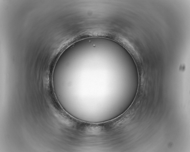 X0000093570202200710291047