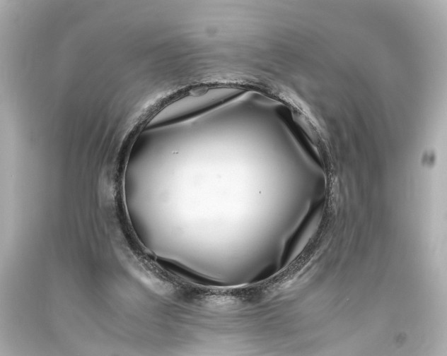 X0000093570203200710291047