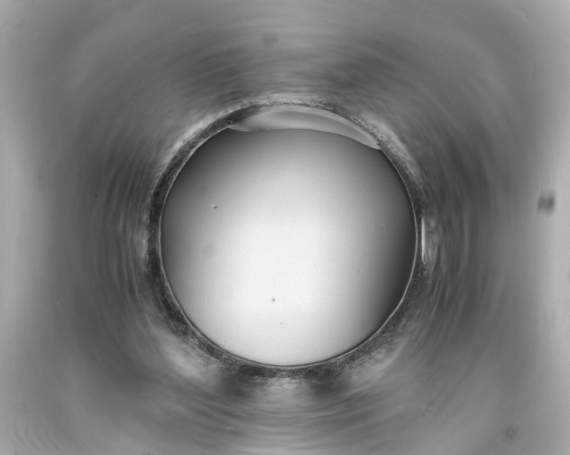 X0000093570204200710291047