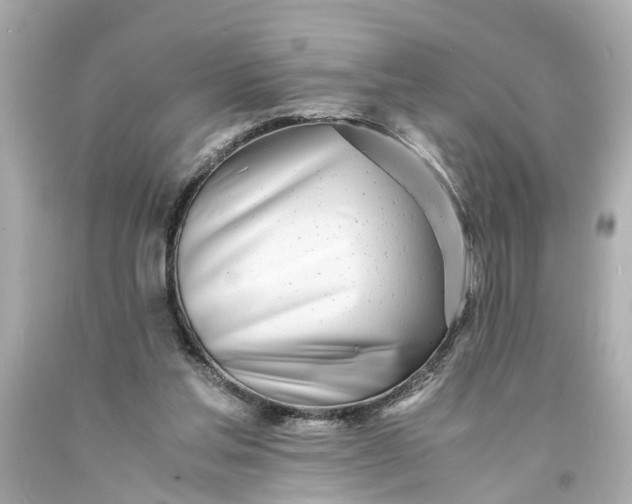 X0000093570205200710291047