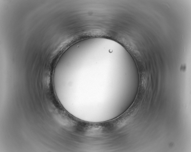 X0000093570206200710291047