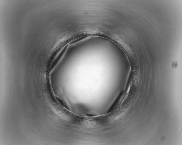 X0000093570207200710291047