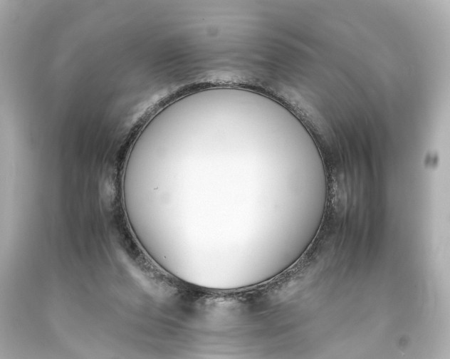 X0000093570208200710291047