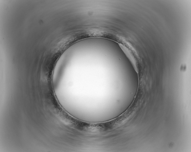 X0000093570209200710291047