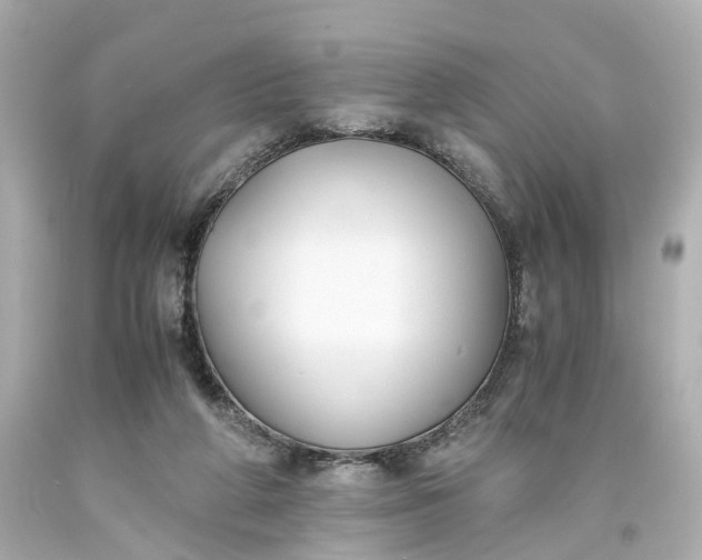 X0000093570210200710291047