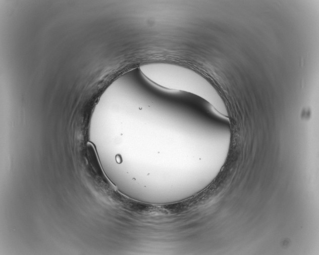 X0000093570215200710291047