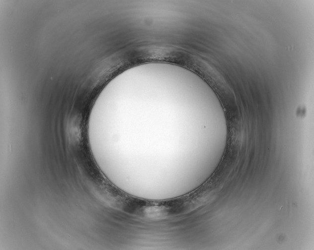 X0000093570216200710291047