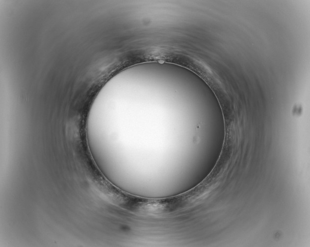 X0000093570217200710291047