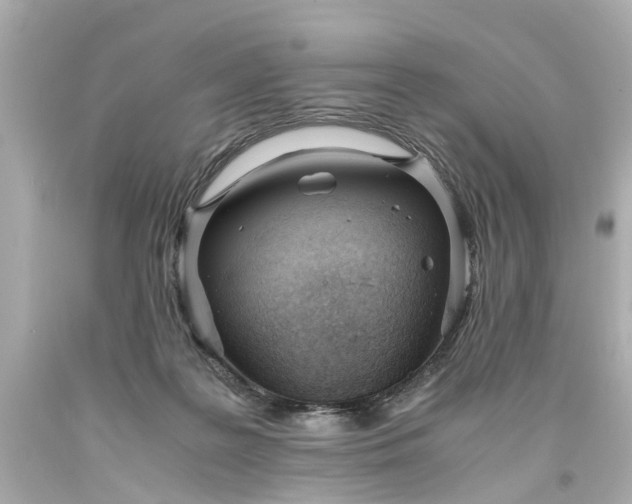 X0000093570219200710291047