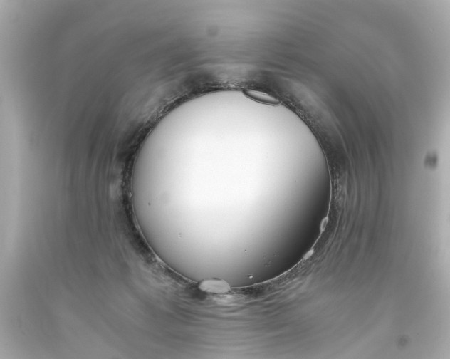 X0000093570221200710291047