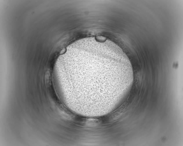 X0000093570222200710291047