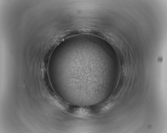 X0000093570223200710291047