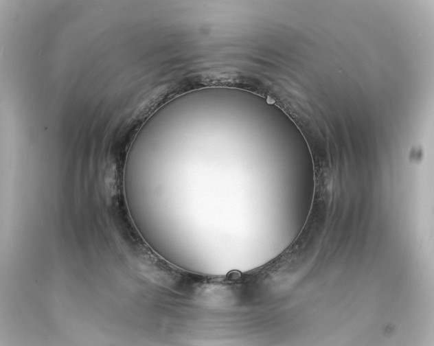 X0000093570224200710291047