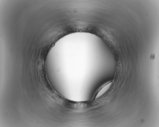 X0000093570225200710291047