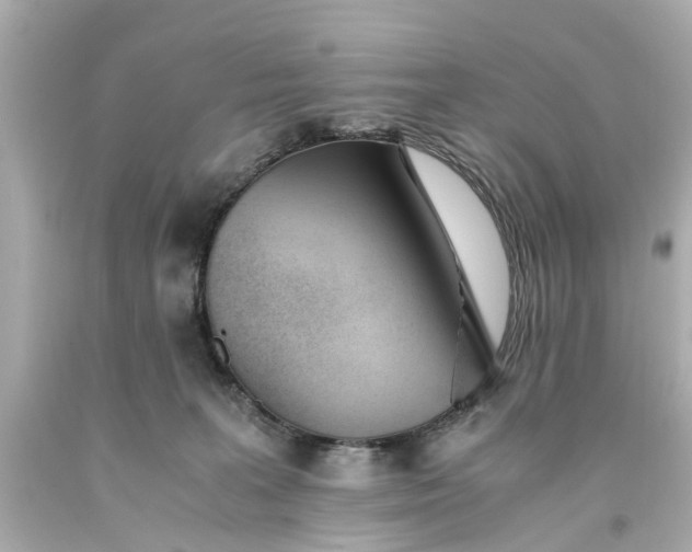 X0000093570227200710291047