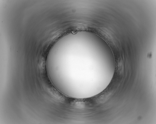 X0000093570228200710291047