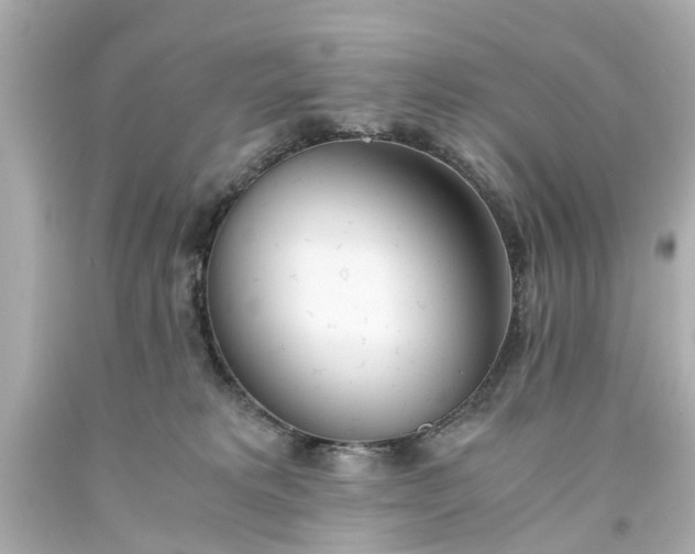 X0000093570229200710291047