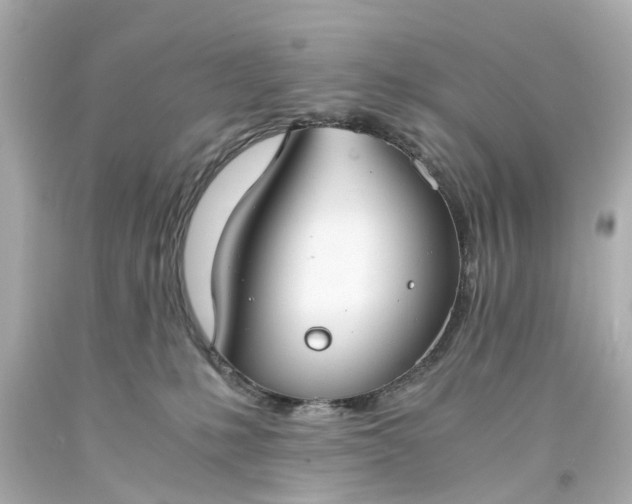 X0000093570231200710291047