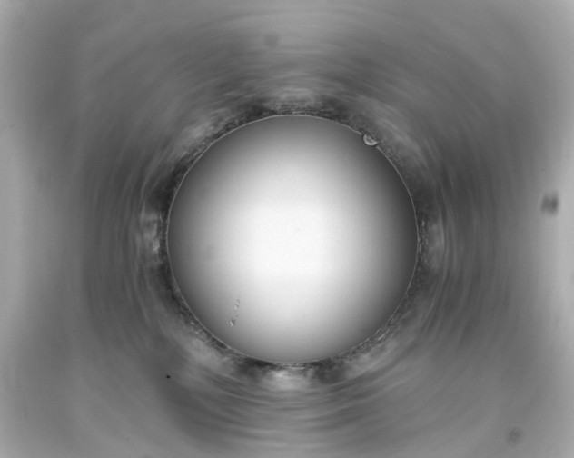 X0000093570232200710291047