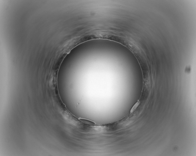 X0000093570233200710291047