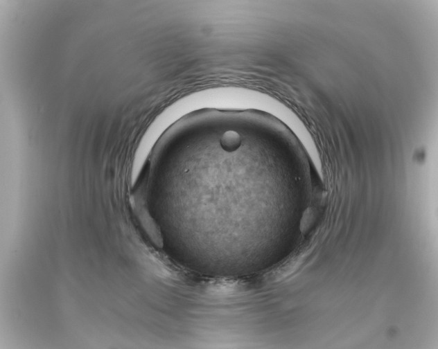 X0000093570235200710291047