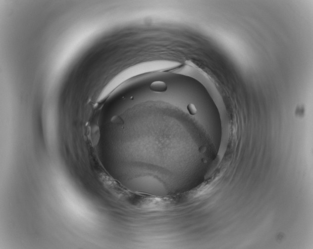 X0000093570239200710291047