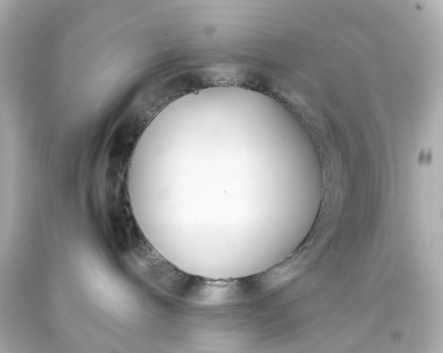 X0000093570240200710291047